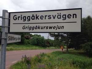 10463972_10152430796548444_5707160916162981247_n