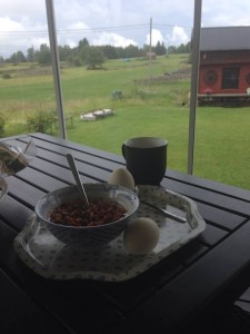 1964804_10152507415558444_8859121239289674960_n